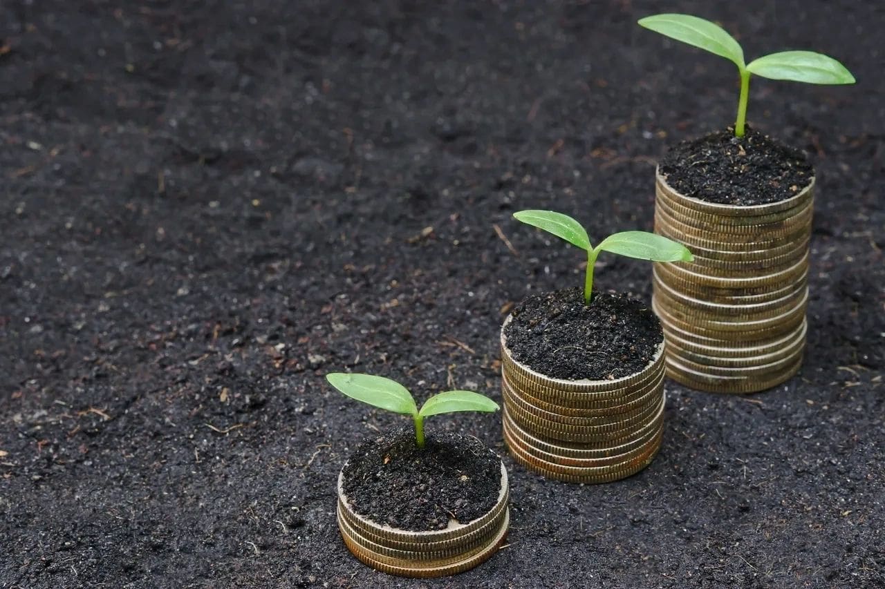 A row of coins with plants growing on them.