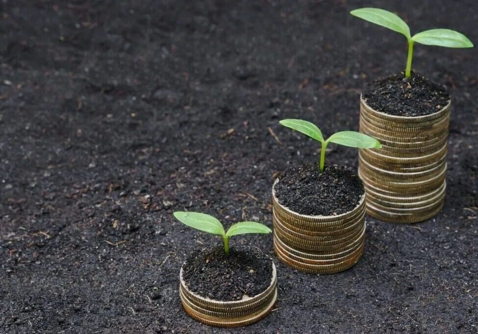 A row of coins with plants growing on them.